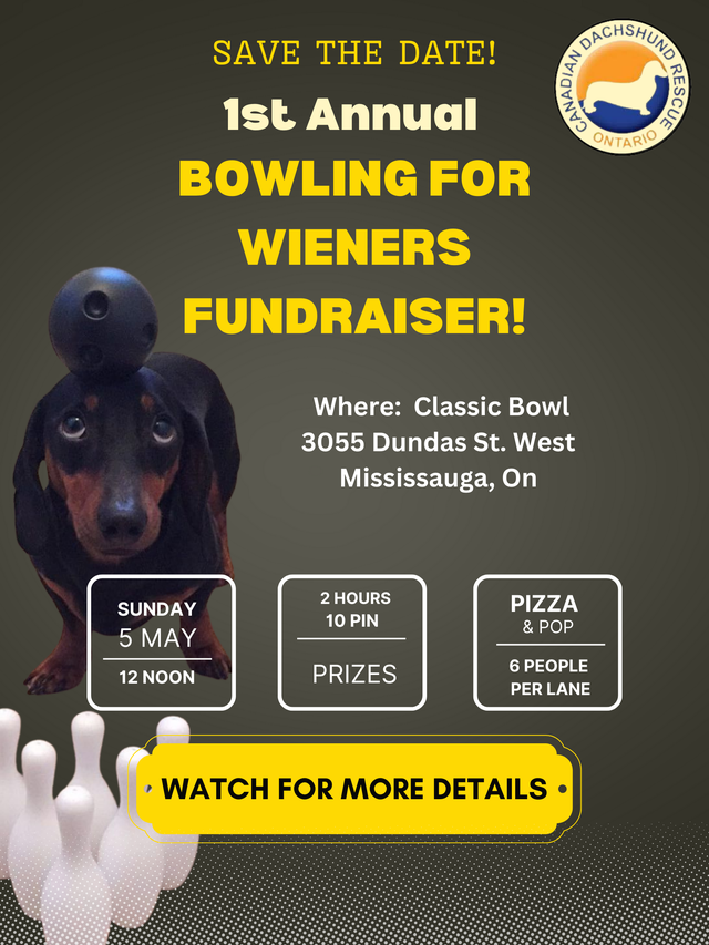 Bowling For Wieners Registration Wiener Dog Rescue Store